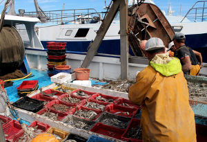 Fishermen