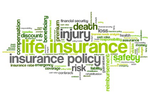 Life Insurance: A Guide to Key Life Insurance Providers