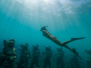 Freediving