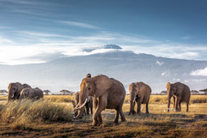 Tanzania