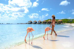 Aruba